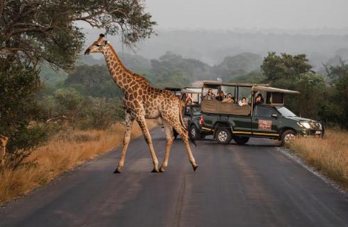 Sabiepark Hotel | Kruger Gate Hotel