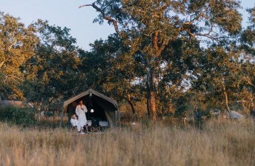 Kruger National Park Other | Kruger Untamed - Satara Plains Camp