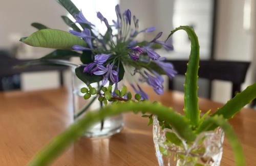 Tulbagh House | L'Bloom Country Cottage