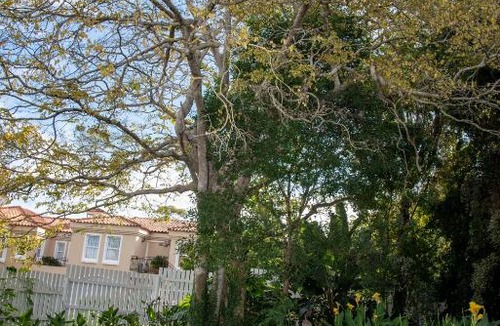 Knysna Apartment | La Lupa Nera