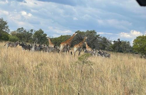Hammanskraal Other | Lama Lama Game Reserve