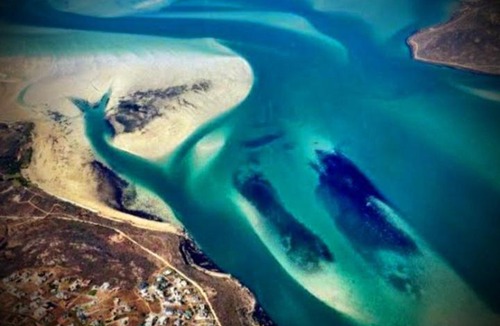 Langebaan House | Langebaan Guest House Near Mykonos and Beach