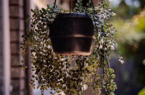 Kathu House | Lavender Lane Guesthouse
