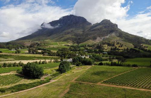 Cape Winelands Cabin | Le Pommier Wine Estate