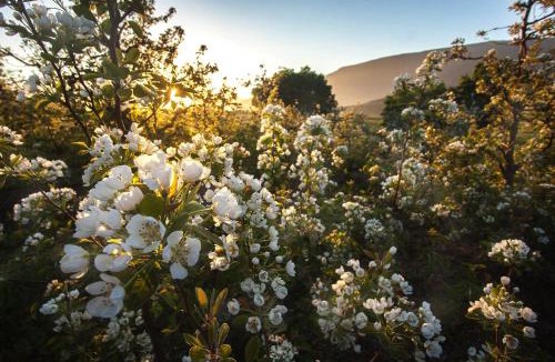 Barrydale Bed & Breakfast | Lentelus Farmstay