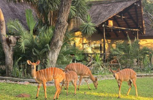 Maruleng Bed & Breakfast | Leopard Rock Guest Lodge