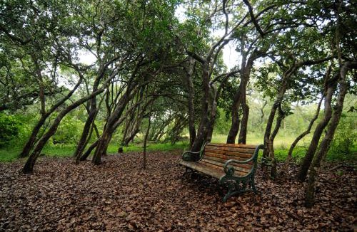 Makhado Cabin | Leshiba Wilderness