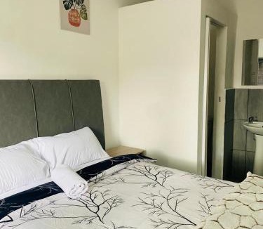 Ekurhuleni House | Linies guest house