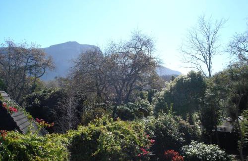 Constantia House | Little House Villa