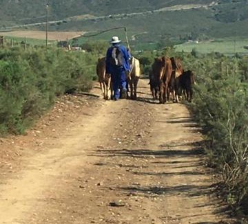 Barrydale House | Little Karoo dream