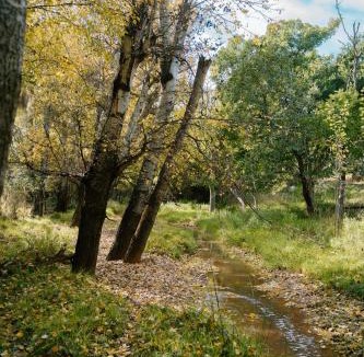 Somerset East Other | Little Nyati farmstay
