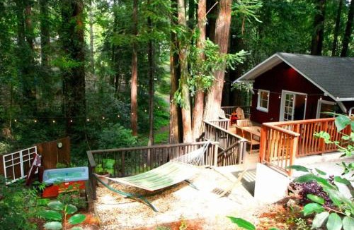 Northwood House | Little Red House! Redwoods! Hot Tub! BBQ! Fast WiFi! Multiple Decks! Near Golf Course! Dog Friendly!