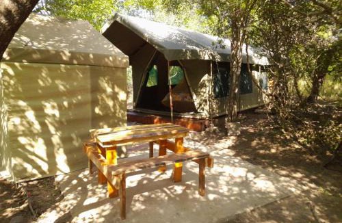 Thorny Bush Game Reserve Other | Little5 Camp