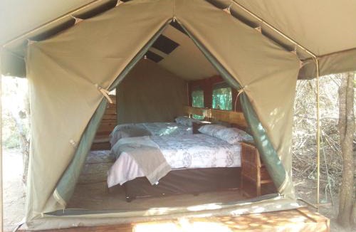 Thorny Bush Game Reserve Other | Little5 Camp