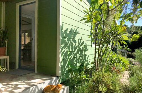 Hunter's Home Apartment | Loeriewood Garden Apartment, Hunters Home