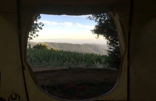 Los Gatos RV Rental | Lotus Yurt in Vineyard Overlooking Monterey Bay near Los Gatos, California