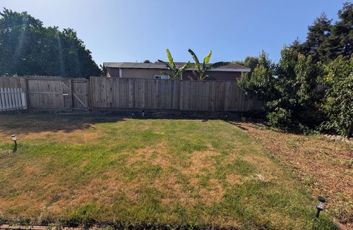 Berry Park House | Lovely Brand New Studio in San Jose with Backyard and Kitchen