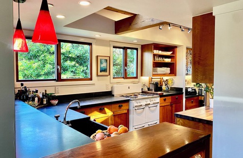Tamalpais-Homestead Valley House | Luxurious, Art-filled Home in a Lush Oasis