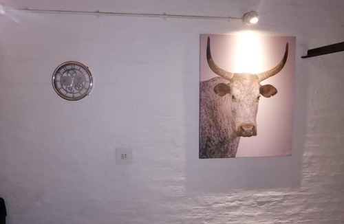 Downtown Johannesburg Apartment | Maboneng Spacious Modern Apartment