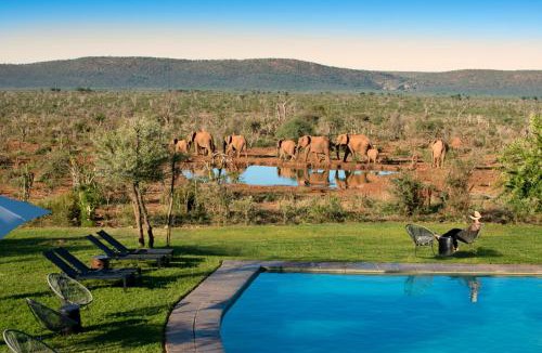 Madikwe Game Reserve Cabin | Madikwe Safari Lodge
