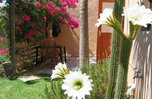 Mowbray Apartment | Malleson Garden Cottage