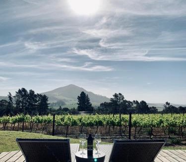 Cape Winelands Bed & Breakfast | Marianne Wine Estate