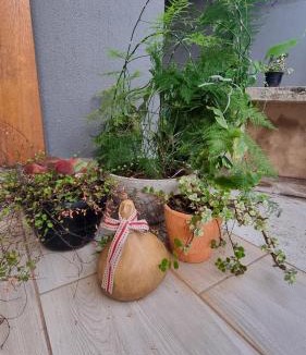 Garsfontein Apartment | Maryah House