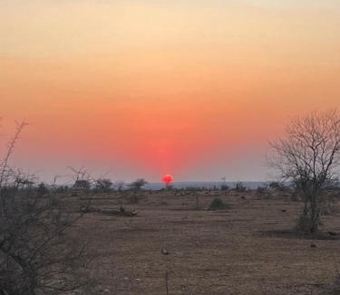 Thorny Bush Game Reserve Other | Masingitana Tented Camp