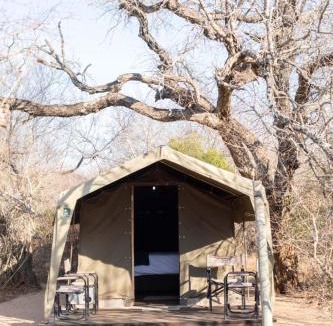 Thorny Bush Game Reserve Other | Masingitana Tented Camp
