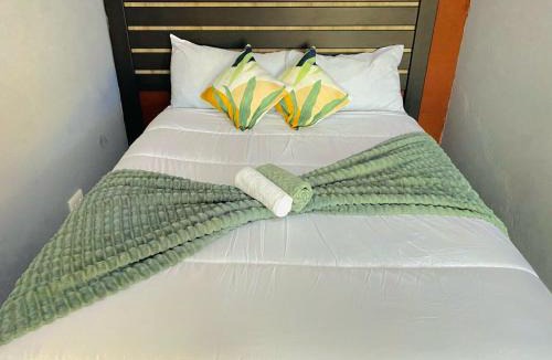 Ermelo House | MD Guesthouse Debruin park