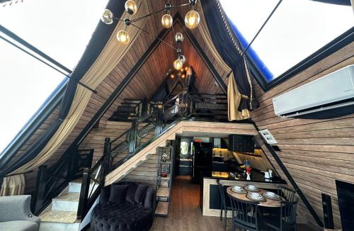 Ayas Other | Mersin Erdeml