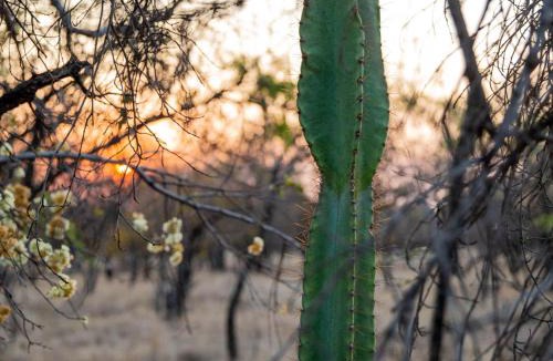 Hammanskraal Cabin | Minara Private Boutique Game Lodge
