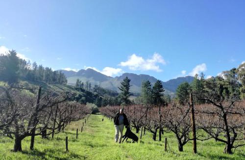 Paarl Apartment | Modderkloof Farm Accommodation