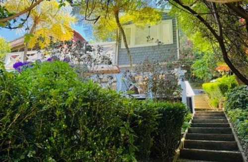 Tamalpais-Homestead Valley House | Modern Cottage in the Woods