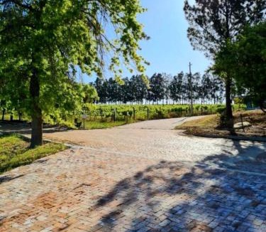 Cape Winelands Apartment | Mon Rêve Estate