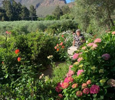 Montagu Bed & Breakfast | Montagu Vines Guesthouse