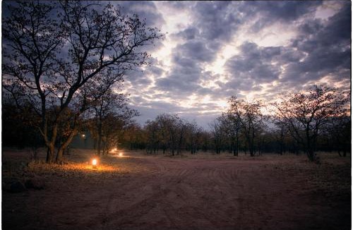 Weipe Cabin | Mopane Bush Lodge