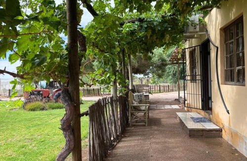 Upington Apartment | Mount Gerizim Farm
