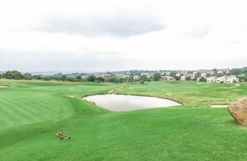 Greater Johannesburg Metropolitan Area Apartment | Mseleku Home from home