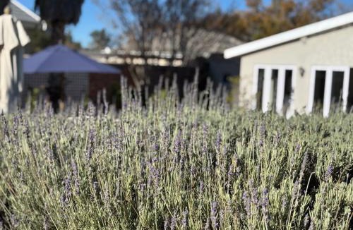 Komani Bed & Breakfast | Ndaba Golf Lodge & Hello Beautiful Day Spa