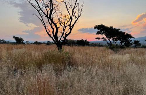 Buffelspoort Cabin | Nectar Game Lodge