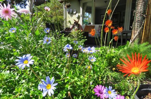 Amatola Coastal Apartment | Ngwenya Garden Cottage