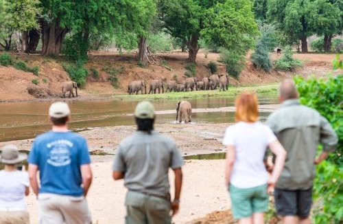 Kruger National Park Other | Nkula Camp - Pafuri Walking Safari's