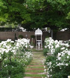 Burgersdorp House | Oaktree