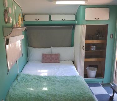 Oudtshoorn Hostel | Oasis Shanti Backpackers