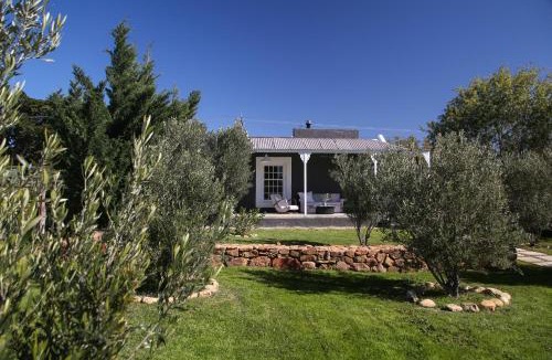 Prince Albert House | Olive Grove House