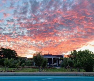 Prince Albert House | Olive Grove House