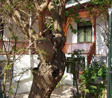 Adalar House | Orhan Kutbayin Evi