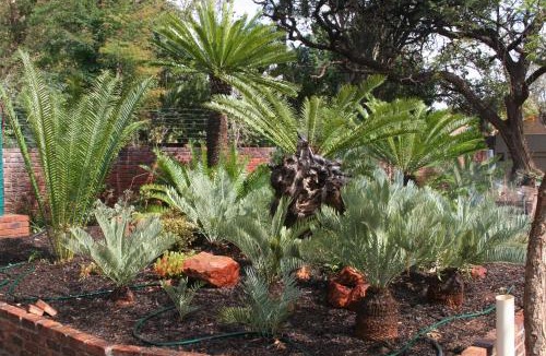 Mokopane Bed & Breakfast | Oryx B&B Reserved Guests Only