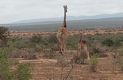 Sundays River Valley House | Osberg Safari's